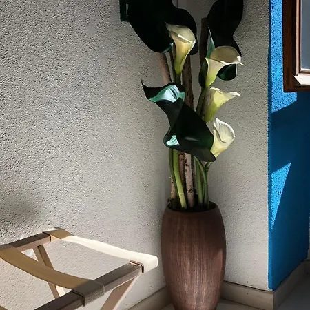 La Polena - Visconti Apartment
