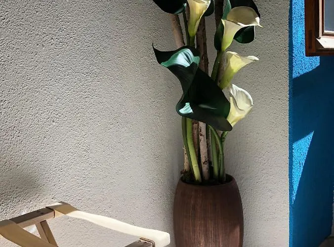 La Polena - Visconti Апартаменты